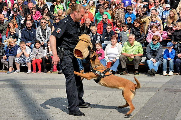 Polizeishow   049.jpg
